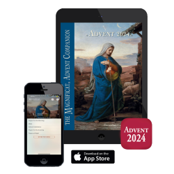 Advent Apple App