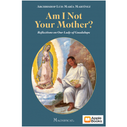 Am I Not Your Mother? Lady of Guadalupe