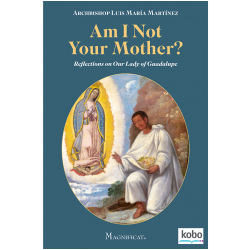 Am I Not Your Mother? Lady of Guadalupe