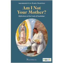 Am I Not Your Mother? Lady Of Guadalupe