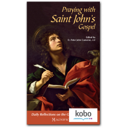 Praying with Saint John's Gospel - Kobo