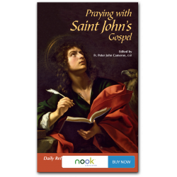 Praying with Saint John's Gospel - Nook