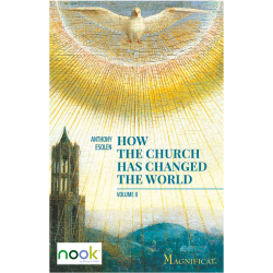 How the Church Has Changed the World - Vol. 2 - Nook