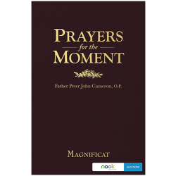 Prayers for the Moment - Nook
